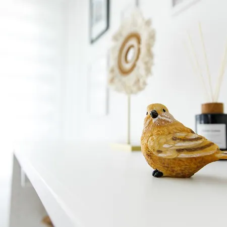 Tatil Evi Nordin Hódmezővásárhely